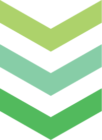 導入実績と参加者の声